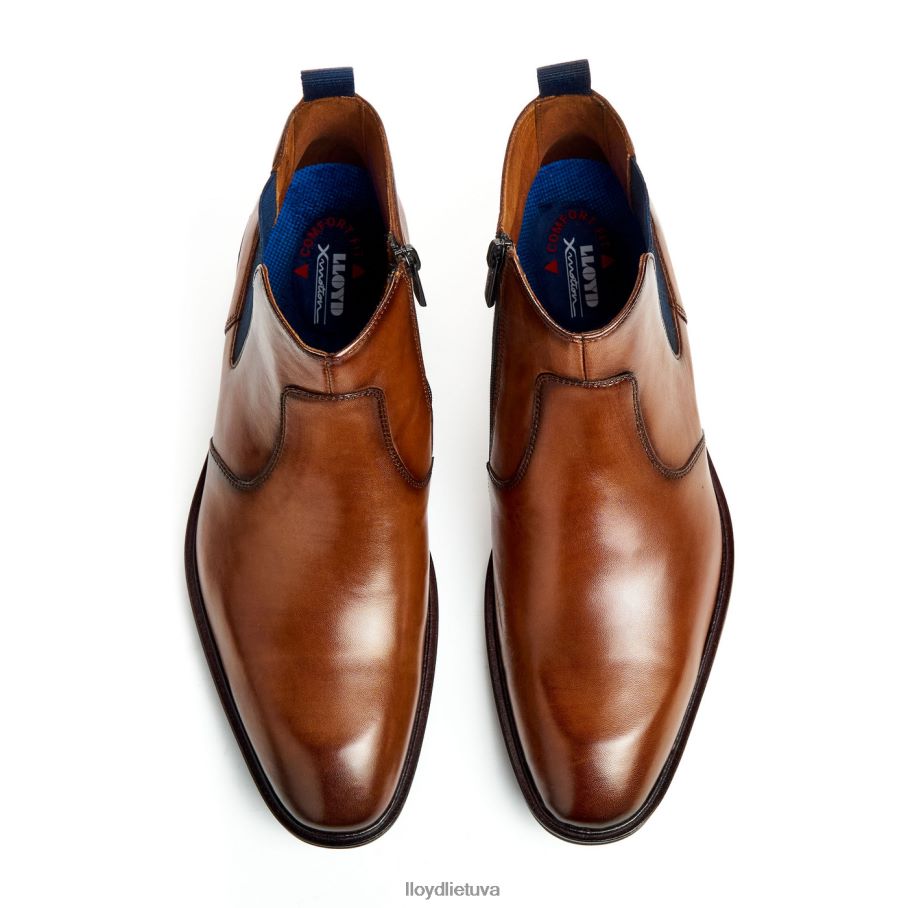 LLOYD matinis vyrų avalynė rudas VF40PZ12