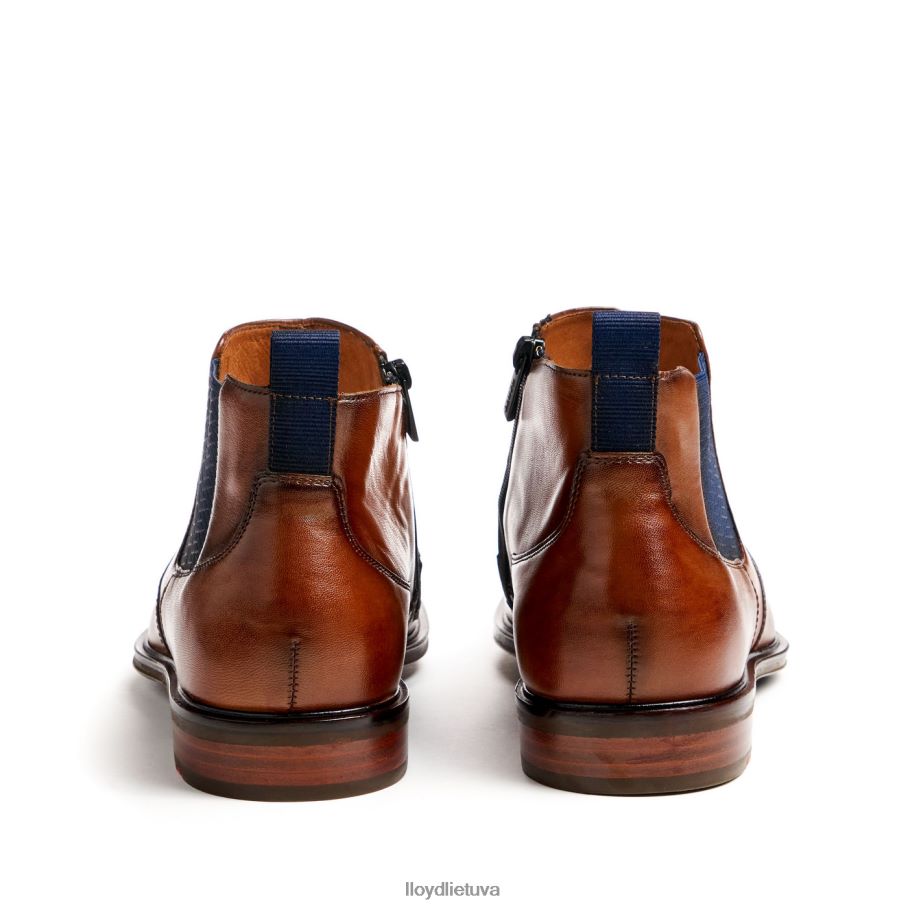 LLOYD matinis vyrų avalynė rudas VF40PZ12