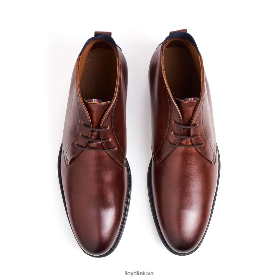 LLOYD mentelė vyrų avalynė rudas VF40PZ131