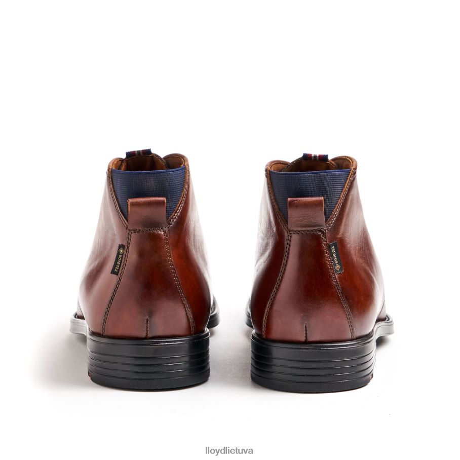 LLOYD mentelė vyrų avalynė rudas VF40PZ131