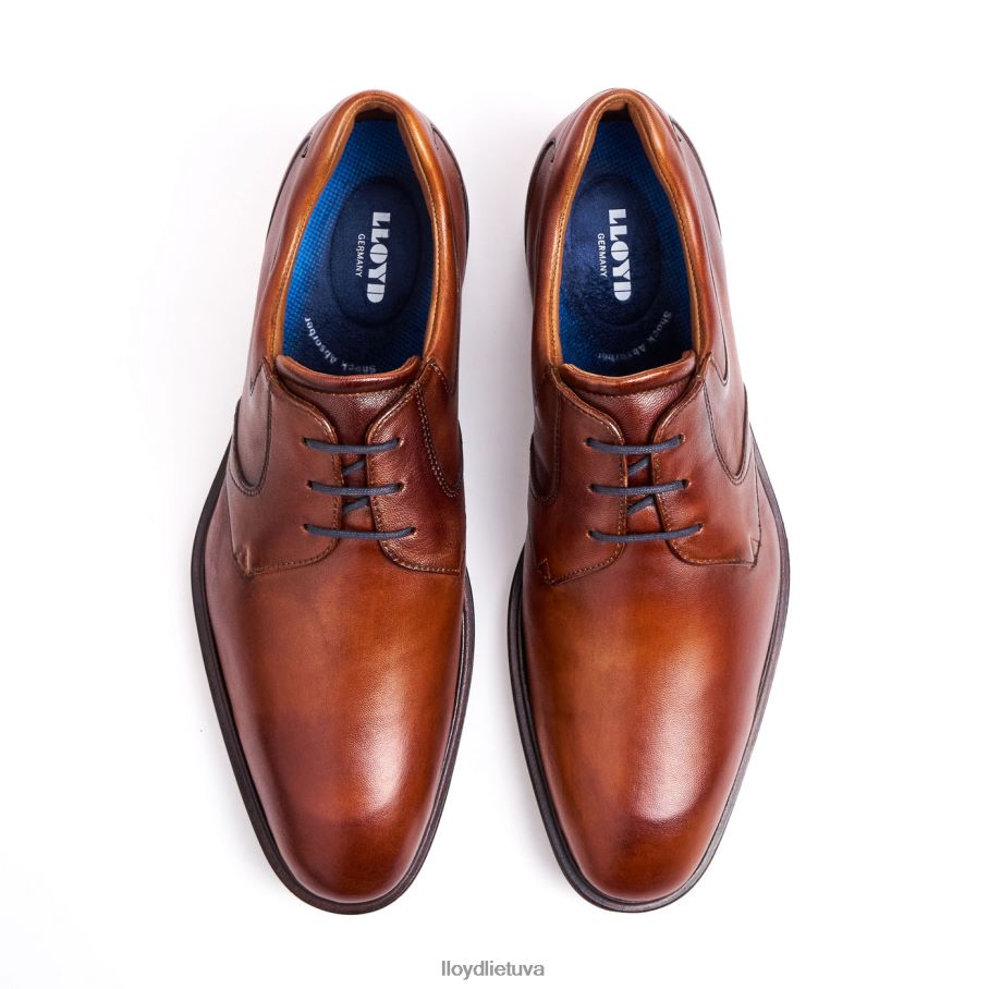 LLOYD monty vyrų avalynė rudas VF40PZ134