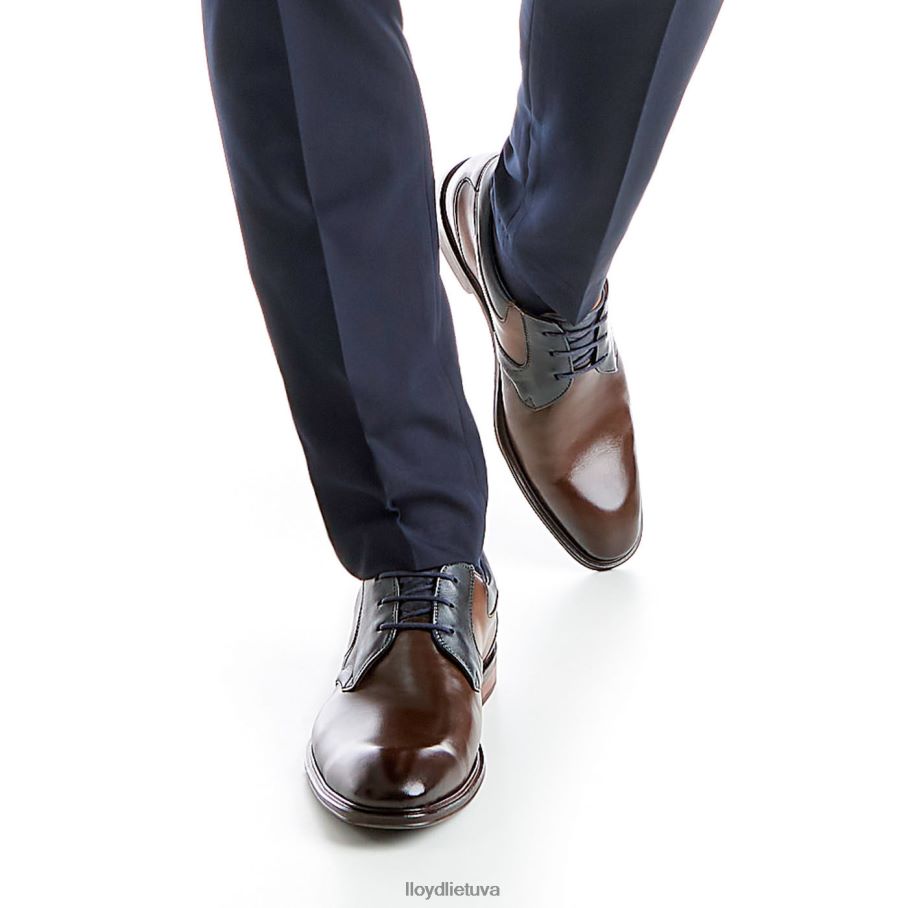 LLOYD monty vyrų avalynė rudas VF40PZ227