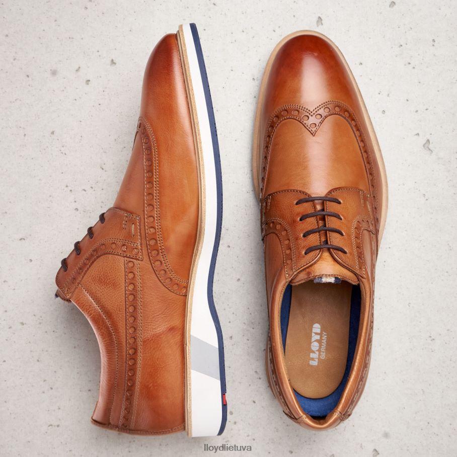 LLOYD nafir vyrų avalynė rudas VF40PZ247