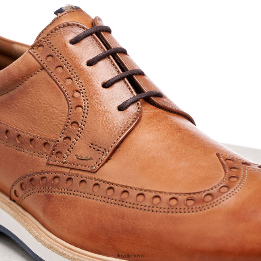 LLOYD nafir vyrų avalynė rudas VF40PZ247