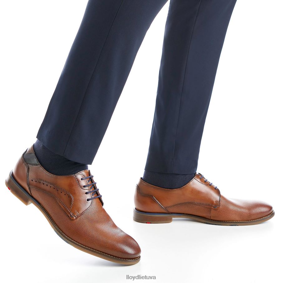 LLOYD namir vyrų avalynė rudas VF40PZ217