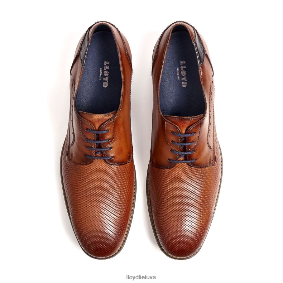 LLOYD namir vyrų avalynė rudas VF40PZ217