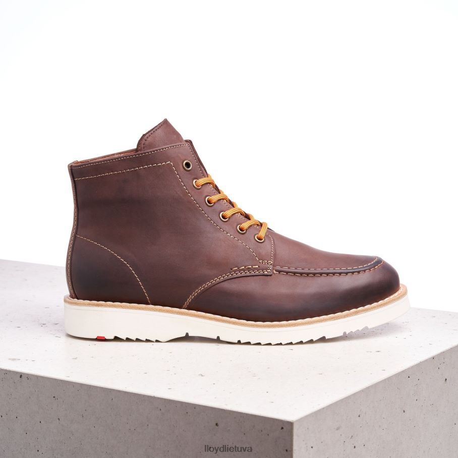 LLOYD neigėjas vyrų avalynė rudas VF40PZ504