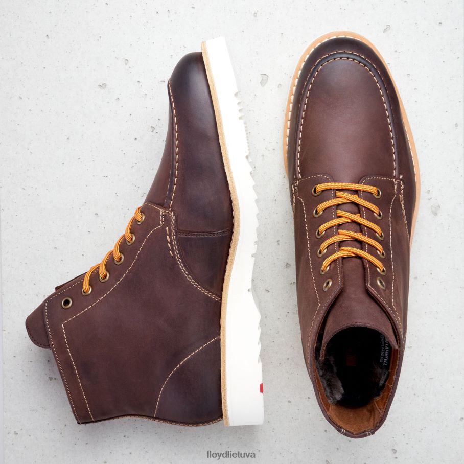 LLOYD neigėjas vyrų avalynė rudas VF40PZ504