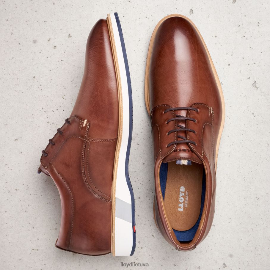 LLOYD neptūnas vyrų avalynė rudas VF40PZ218