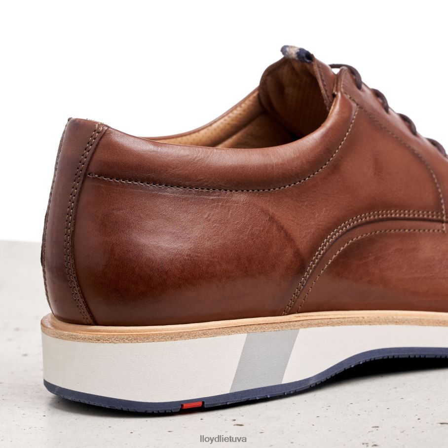LLOYD neptūnas vyrų avalynė rudas VF40PZ218