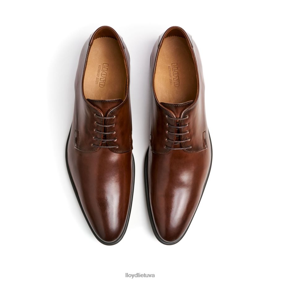 LLOYD nik vyrų avalynė rudas VF40PZ127