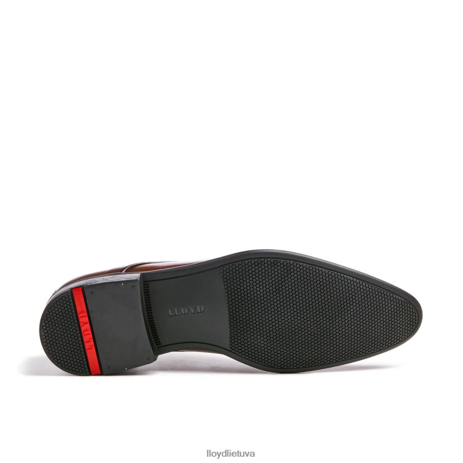 LLOYD nik vyrų avalynė rudas VF40PZ127