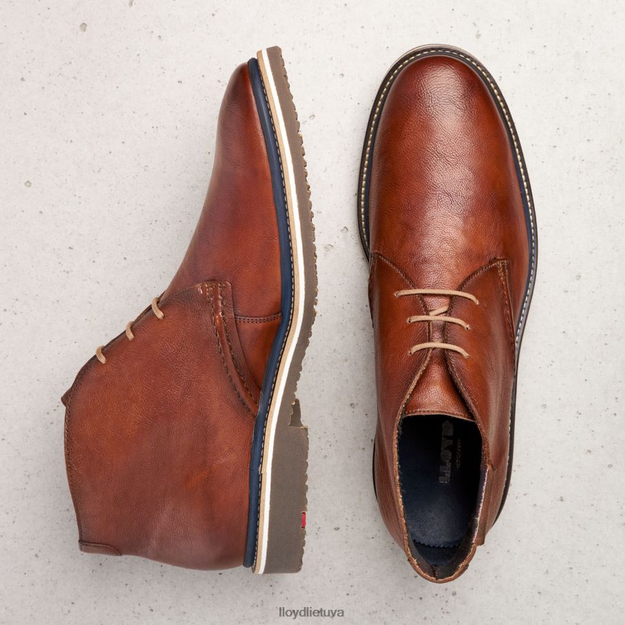 LLOYD norko vyrų avalynė rudas VF40PZ554