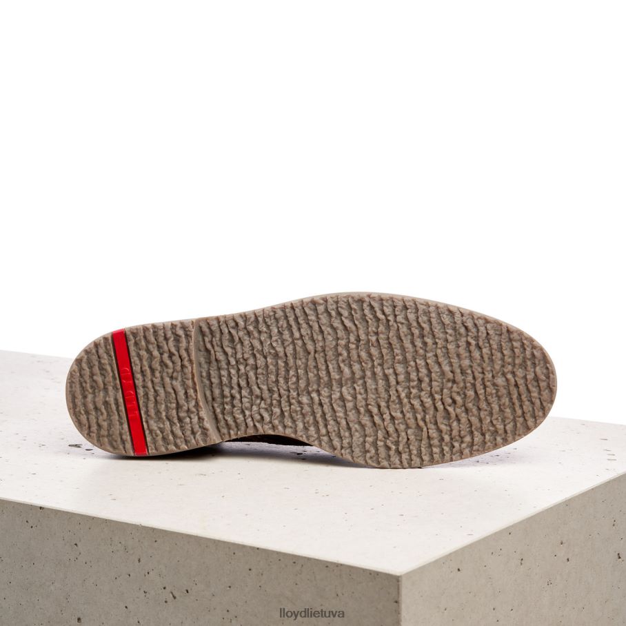 LLOYD novo vyrų avalynė rudas VF40PZ561