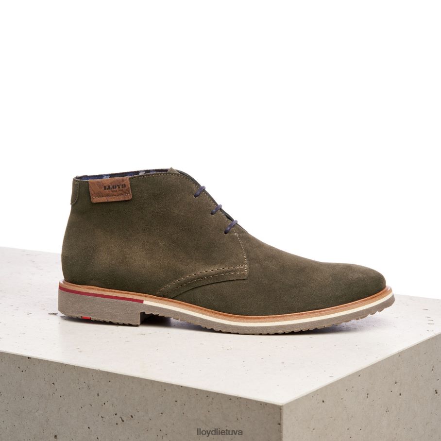 LLOYD novo vyrų avalynė rudas VF40PZ562