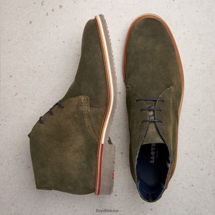 LLOYD novo vyrų avalynė rudas VF40PZ562