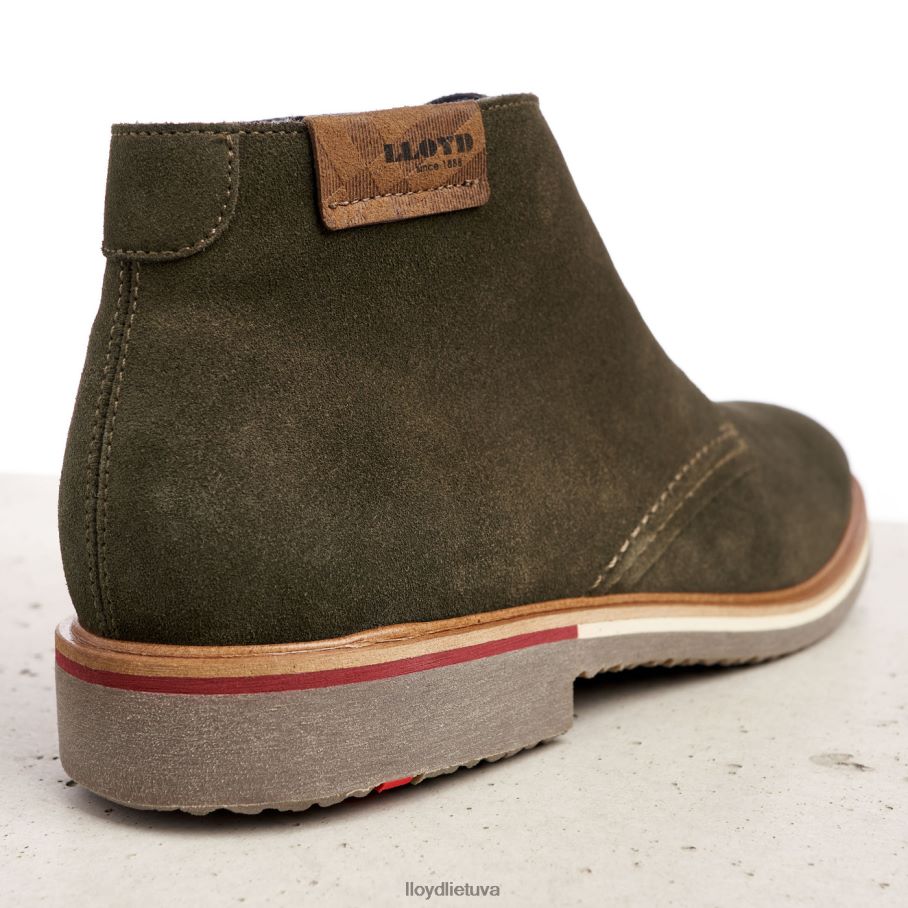 LLOYD novo vyrų avalynė rudas VF40PZ562