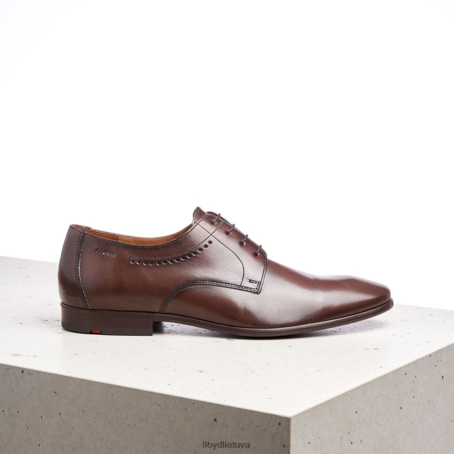 LLOYD ocas vyrų avalynė rudas VF40PZ575