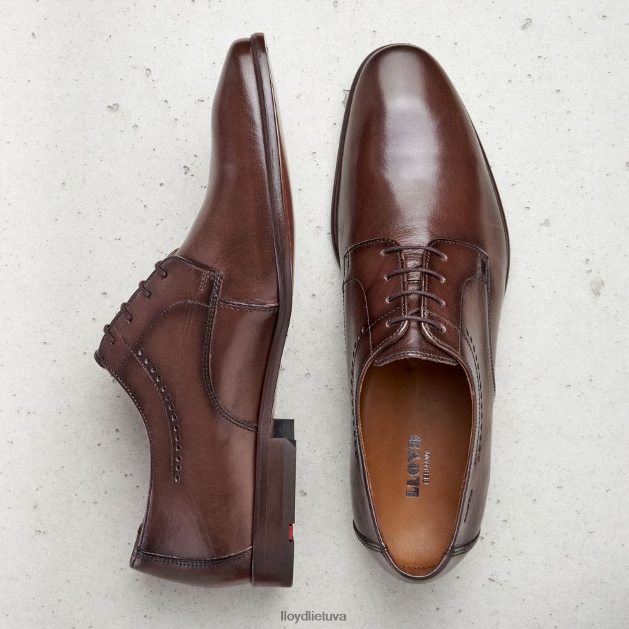 LLOYD ocas vyrų avalynė rudas VF40PZ575