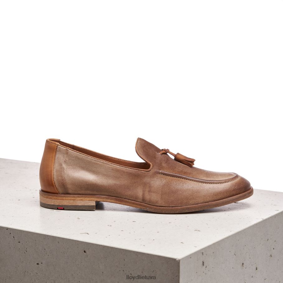 LLOYD odal vyrų avalynė rudas VF40PZ590