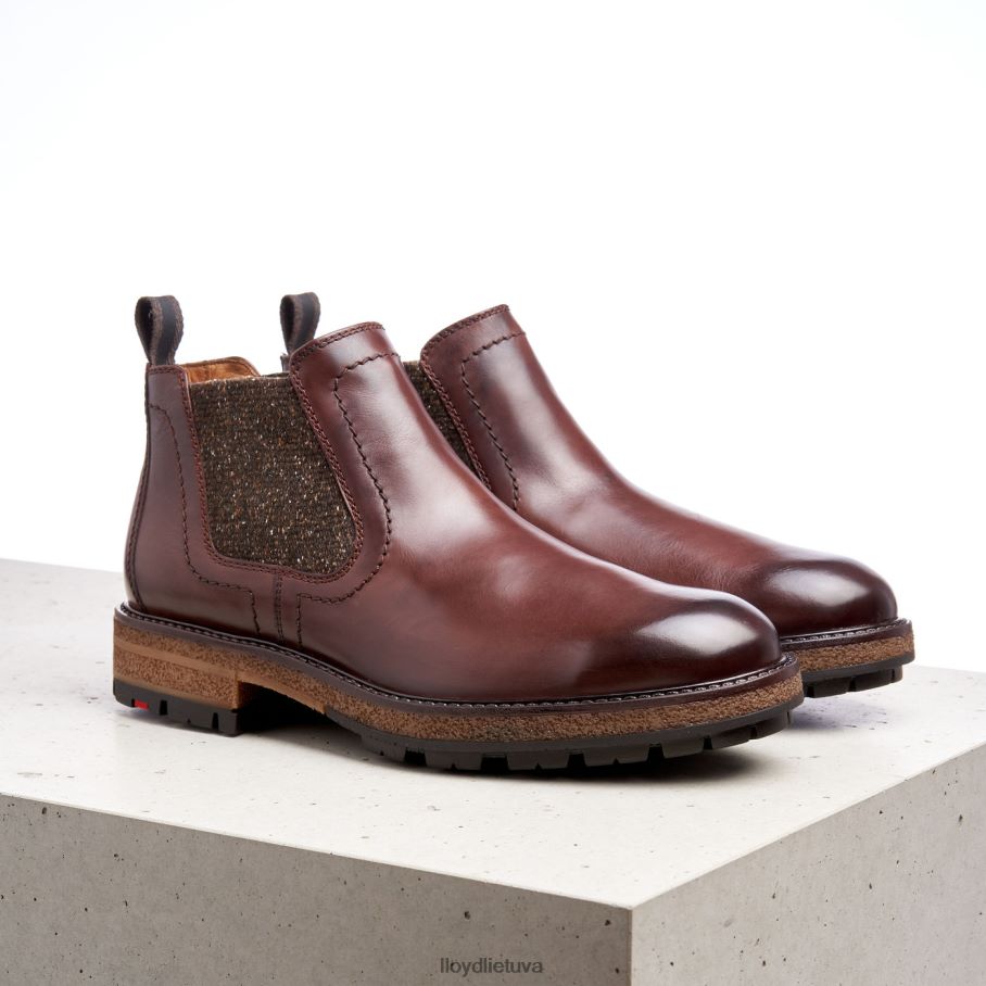 LLOYD odem vyrų avalynė rudas VF40PZ532