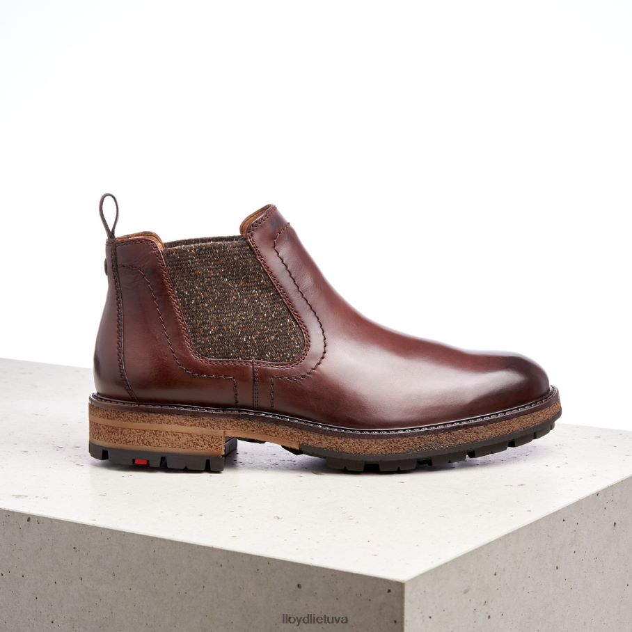 LLOYD odem vyrų avalynė rudas VF40PZ532