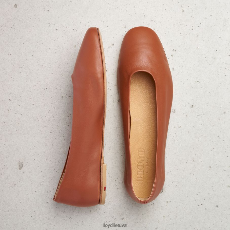 LLOYD odinė balerina moterys avalynė rudas VF40PZ1256