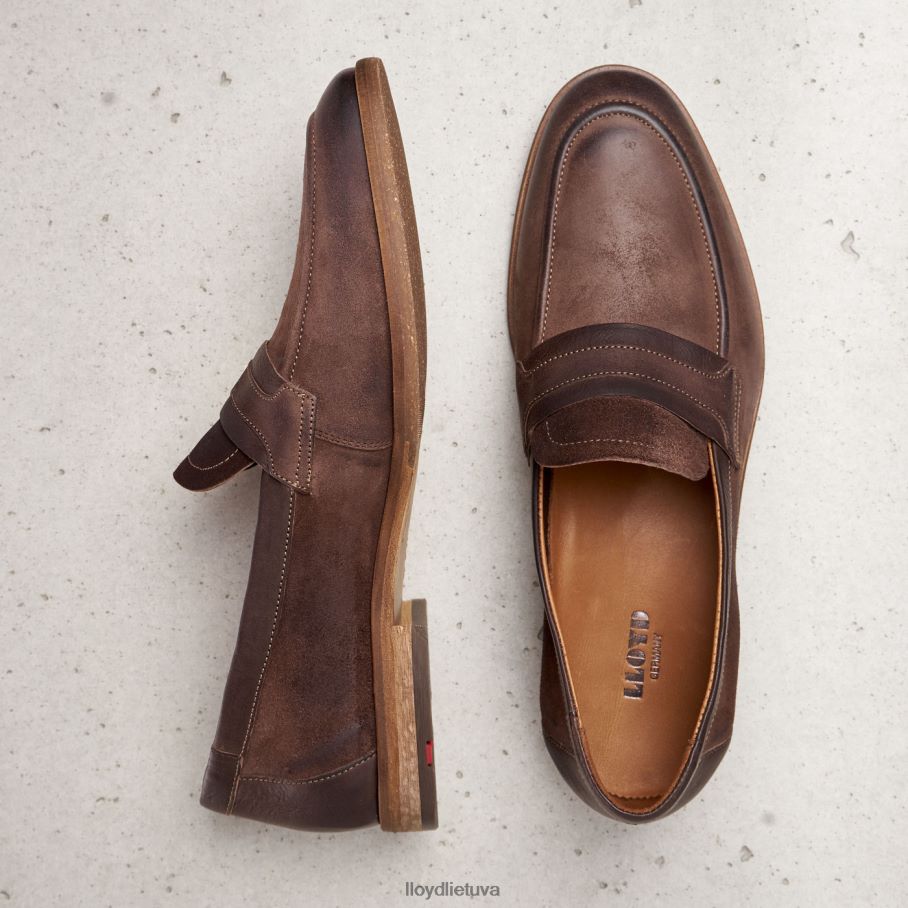 LLOYD oktant vyrų avalynė rudas VF40PZ1346