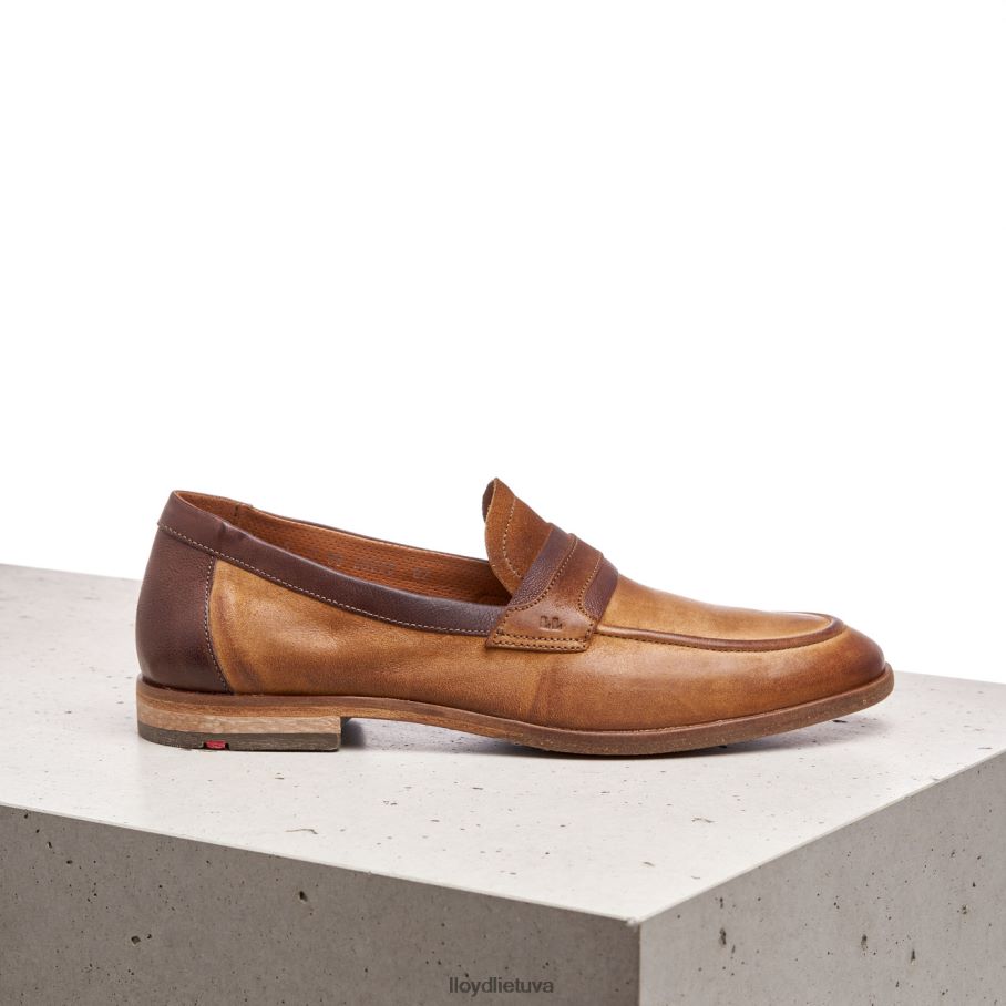 LLOYD oktant vyrų avalynė rudas VF40PZ604