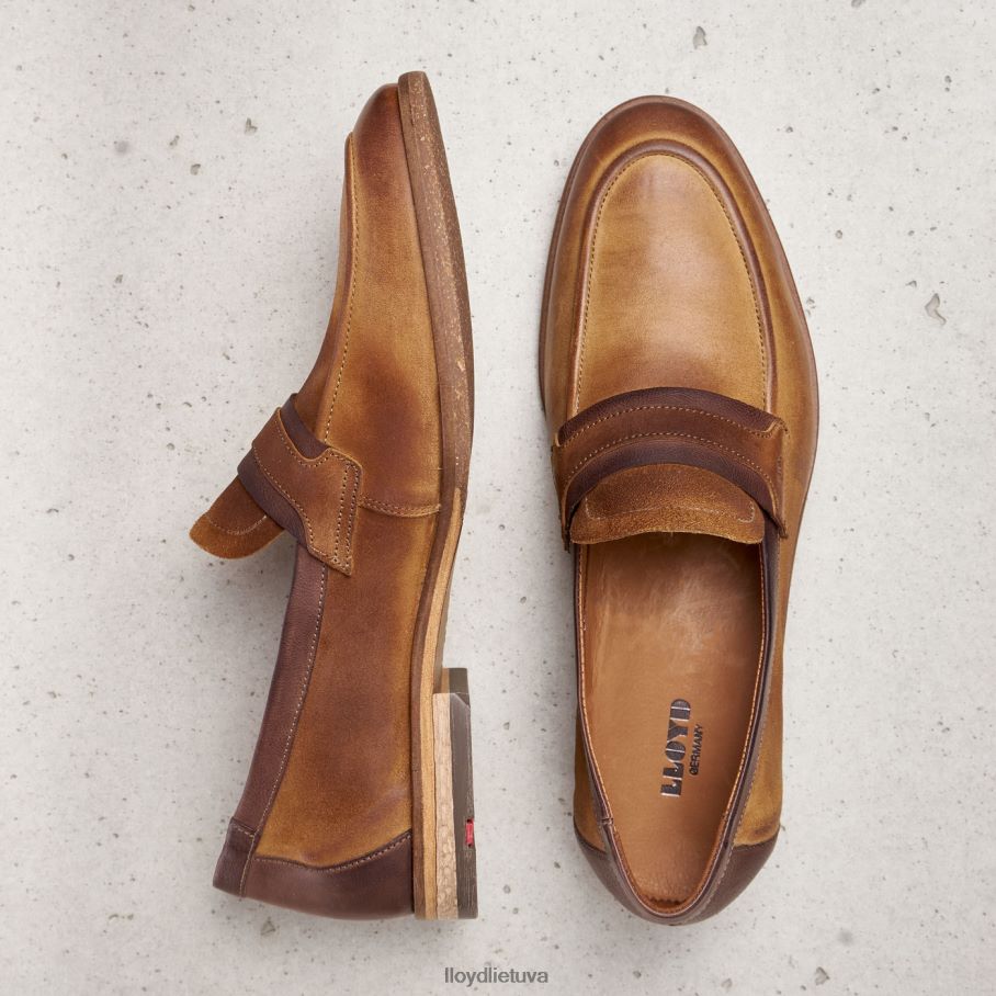 LLOYD oktant vyrų avalynė rudas VF40PZ604