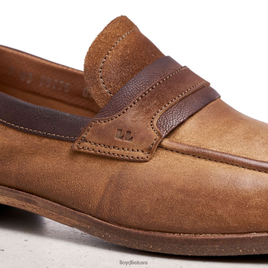 LLOYD oktant vyrų avalynė rudas VF40PZ604