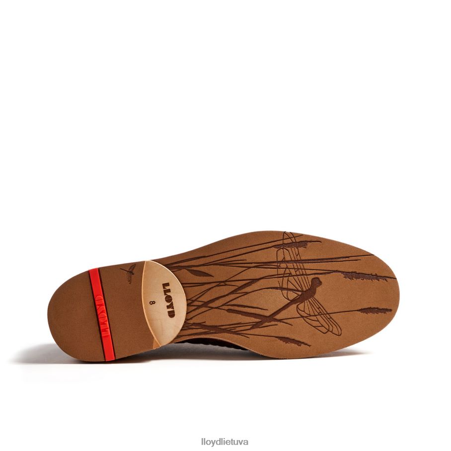 LLOYD olos vyrų avalynė rudas VF40PZ173
