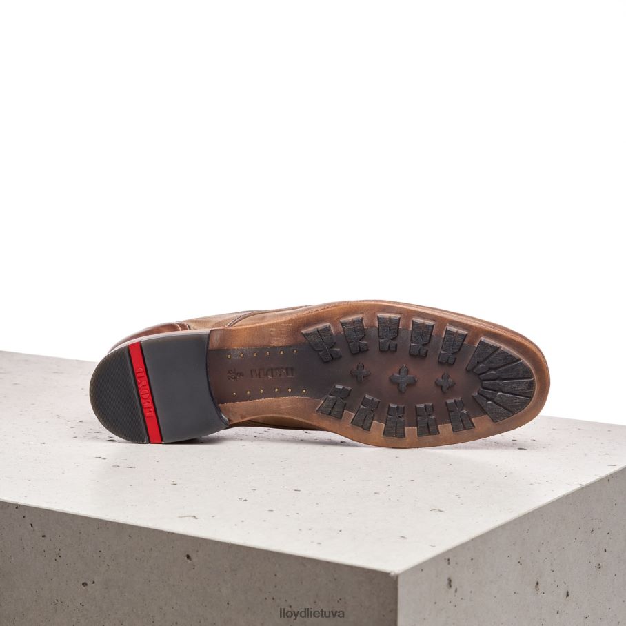 LLOYD oran vyrų avalynė rudas VF40PZ600