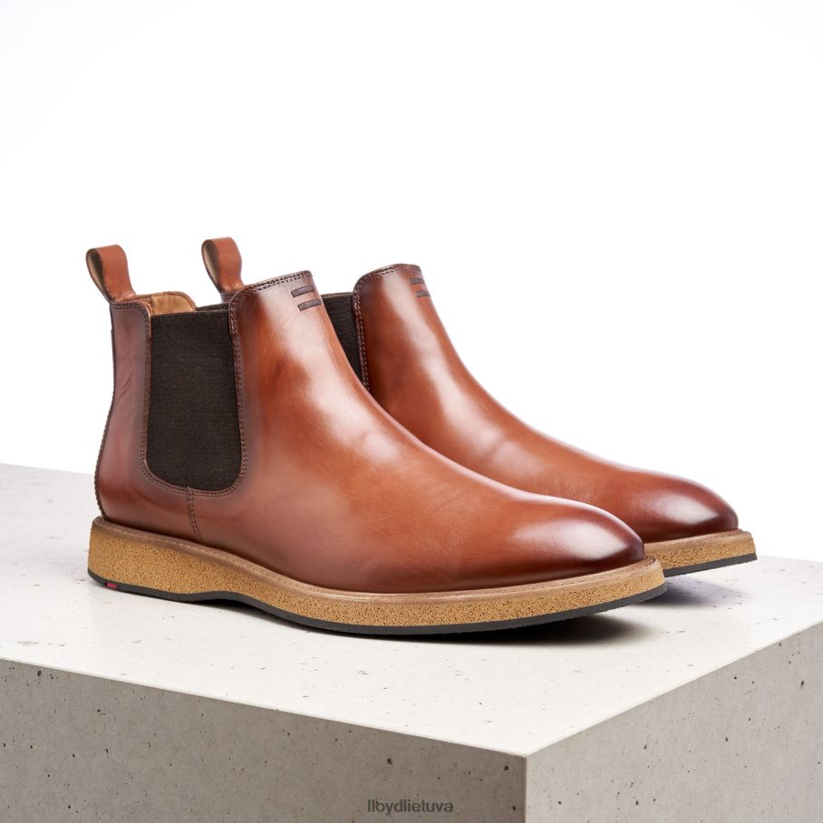 LLOYD oris vyrų avalynė rudas VF40PZ558