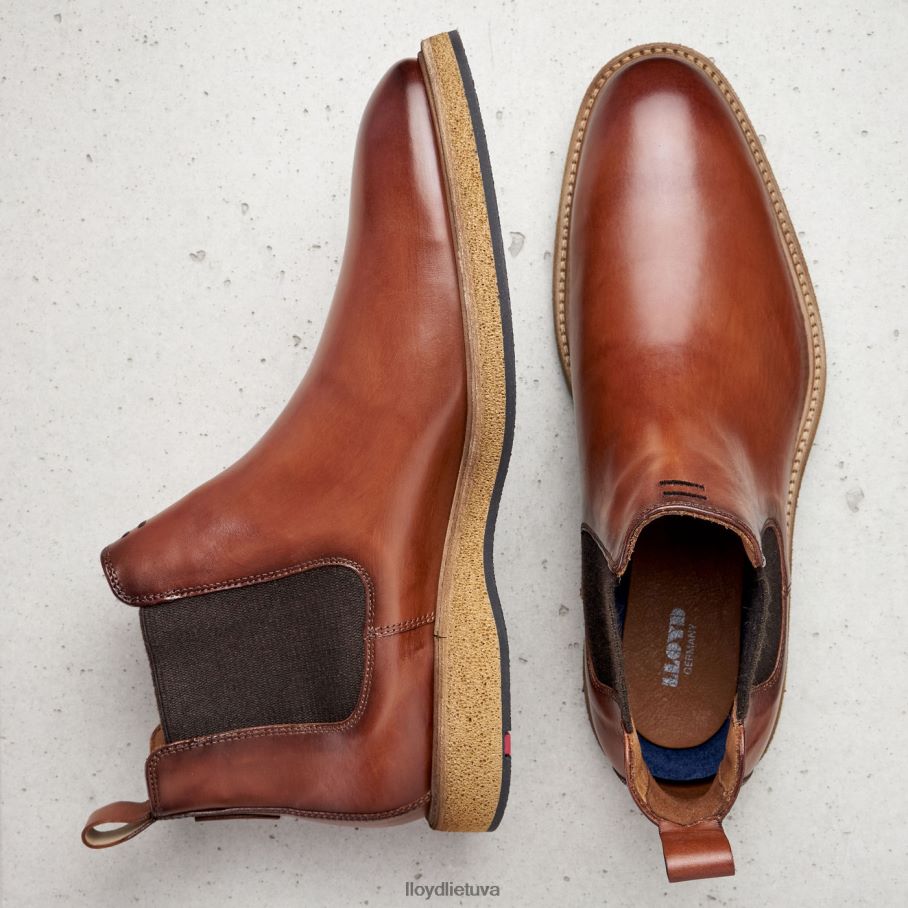 LLOYD oris vyrų avalynė rudas VF40PZ558