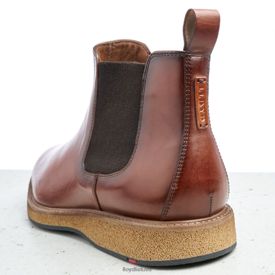 LLOYD oris vyrų avalynė rudas VF40PZ558