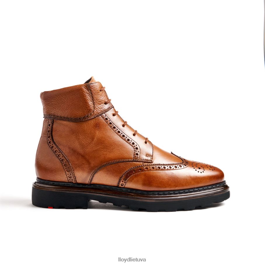 LLOYD osko vyrų avalynė rudas VF40PZ502