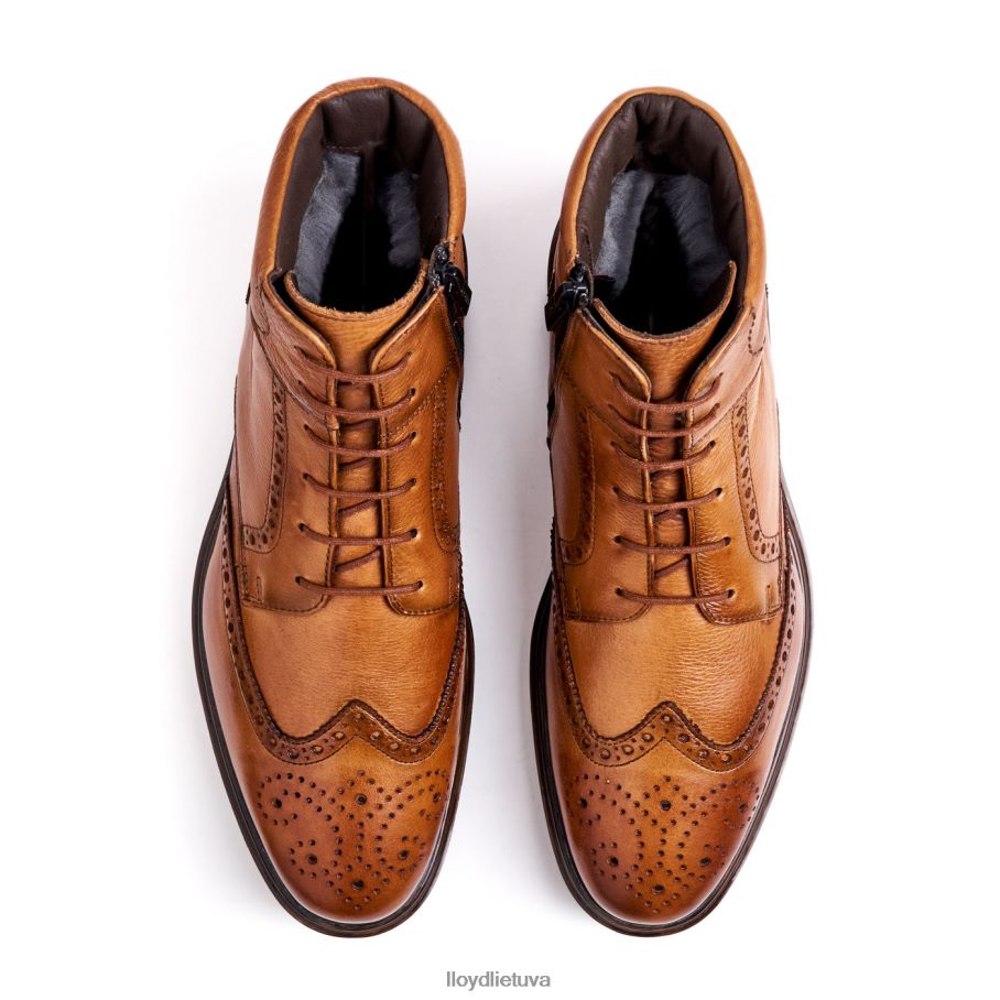 LLOYD osko vyrų avalynė rudas VF40PZ502