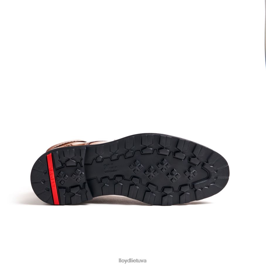 LLOYD osko vyrų avalynė rudas VF40PZ502