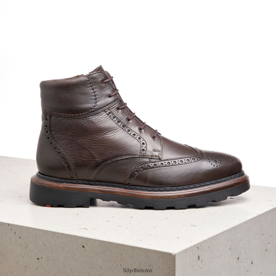 LLOYD osko vyrų avalynė rudas VF40PZ541
