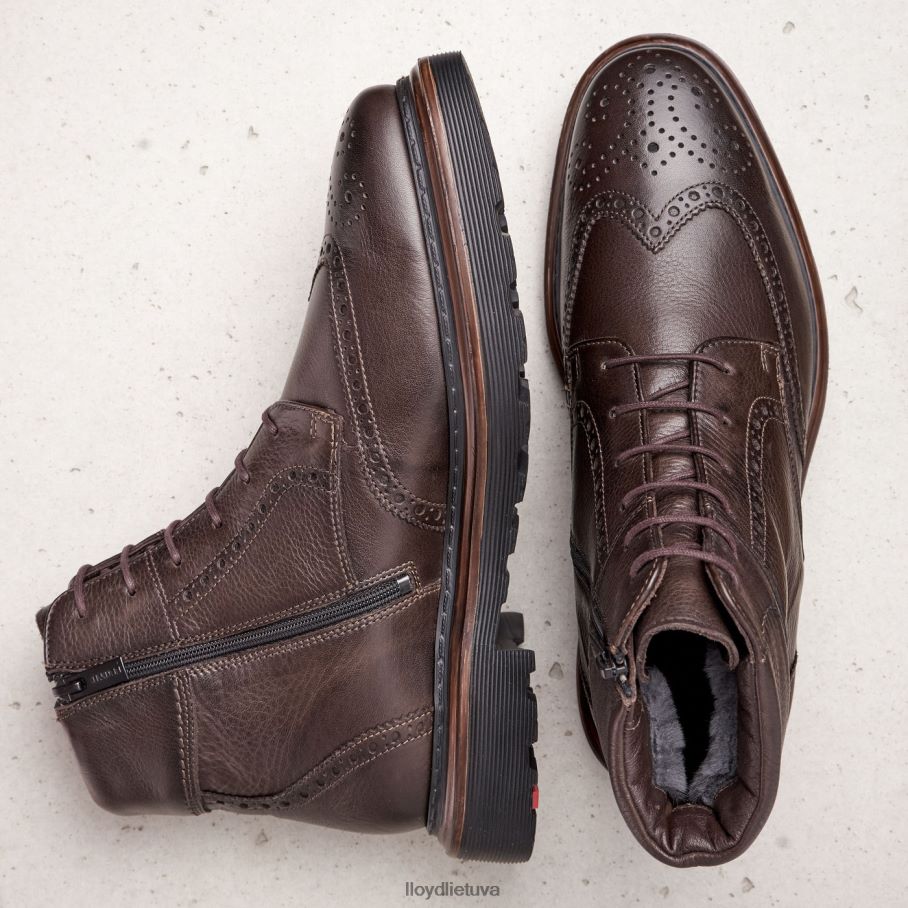 LLOYD osko vyrų avalynė rudas VF40PZ541