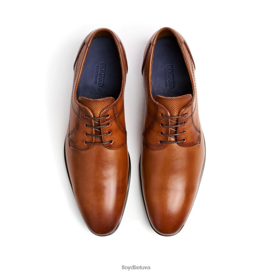 LLOYD osmondas vyrų avalynė rudas VF40PZ84