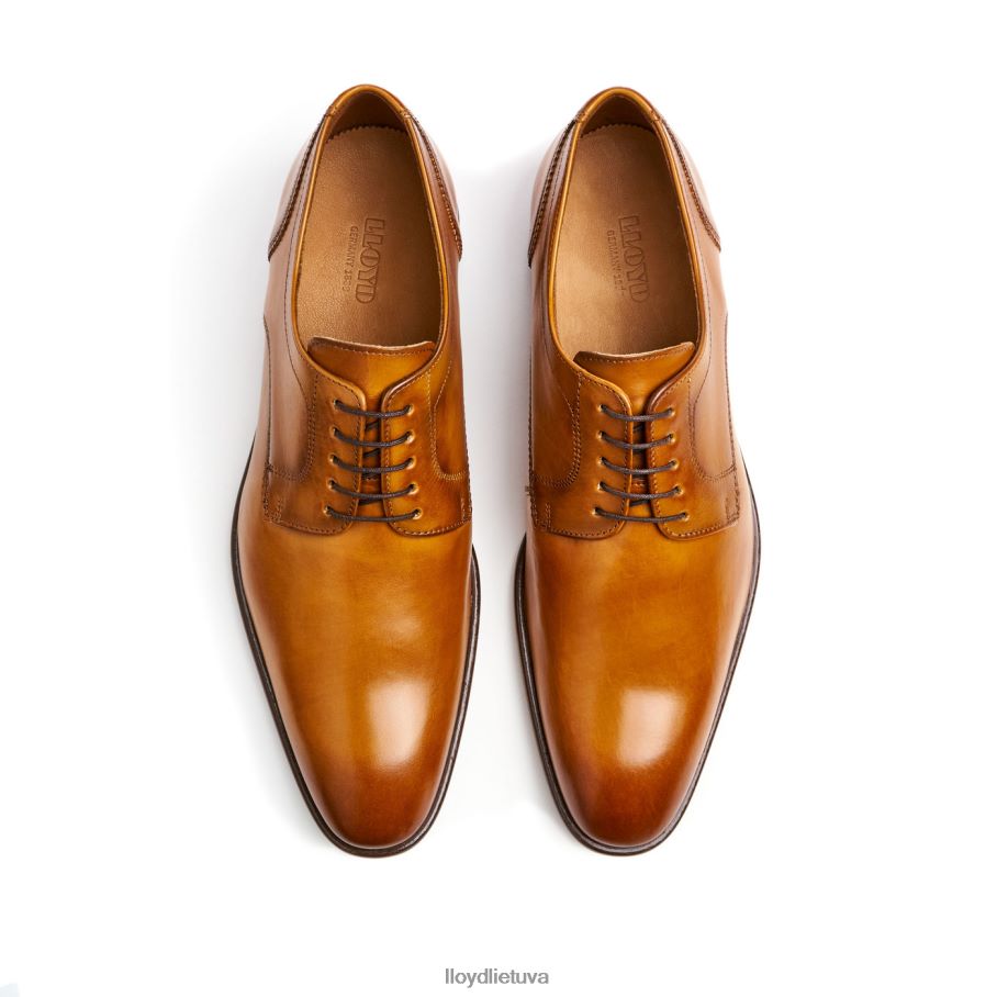 LLOYD pados vyrų avalynė rudas VF40PZ152