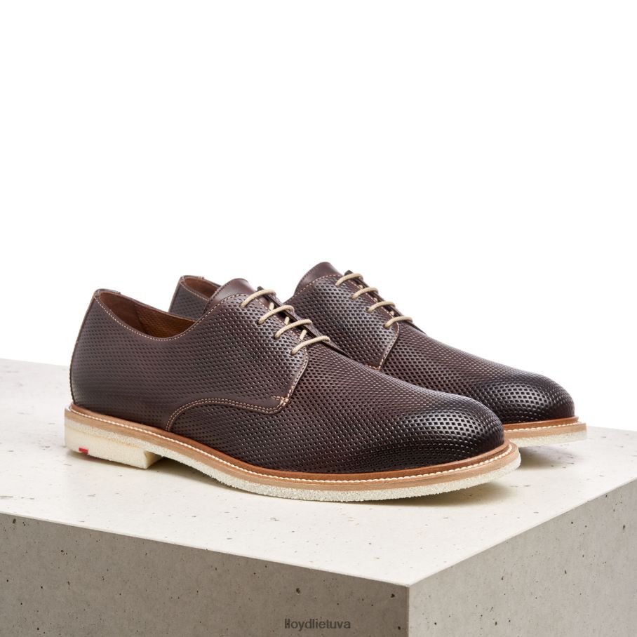 LLOYD palma vyrų avalynė rudas VF40PZ226