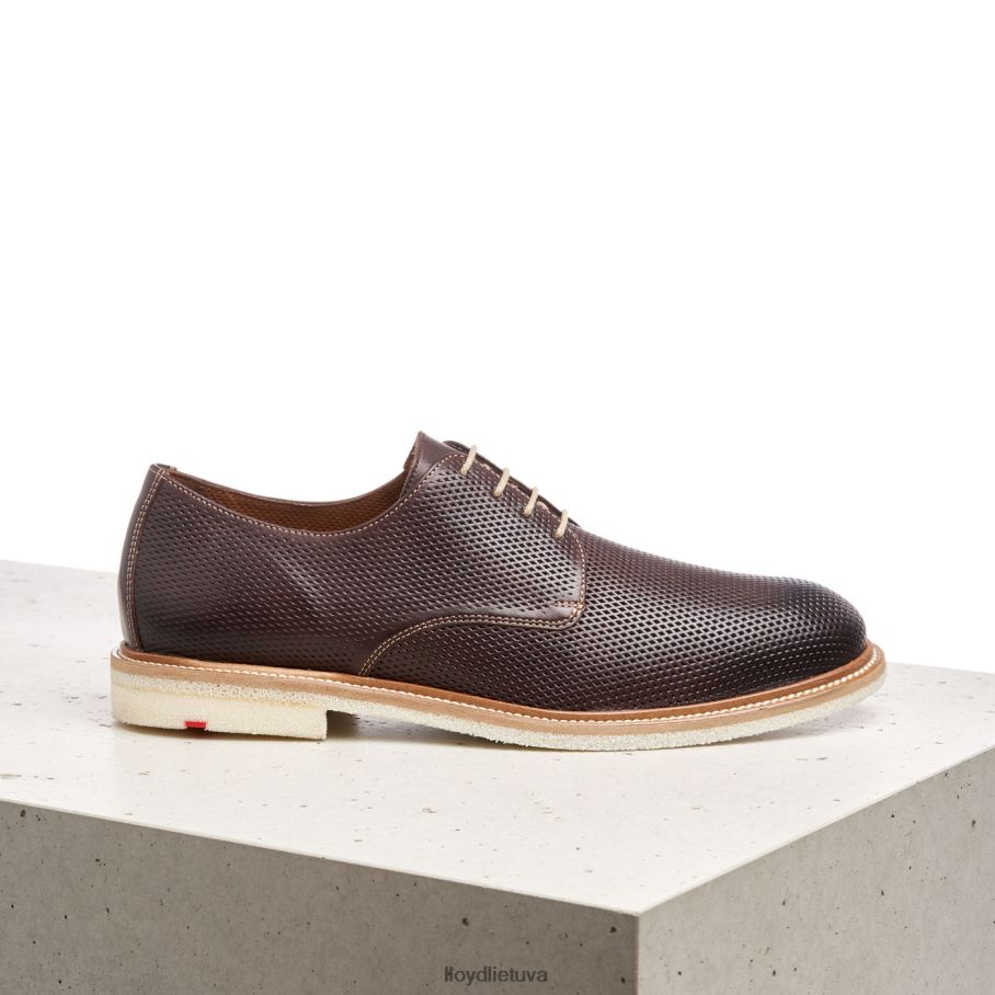 LLOYD palma vyrų avalynė rudas VF40PZ226