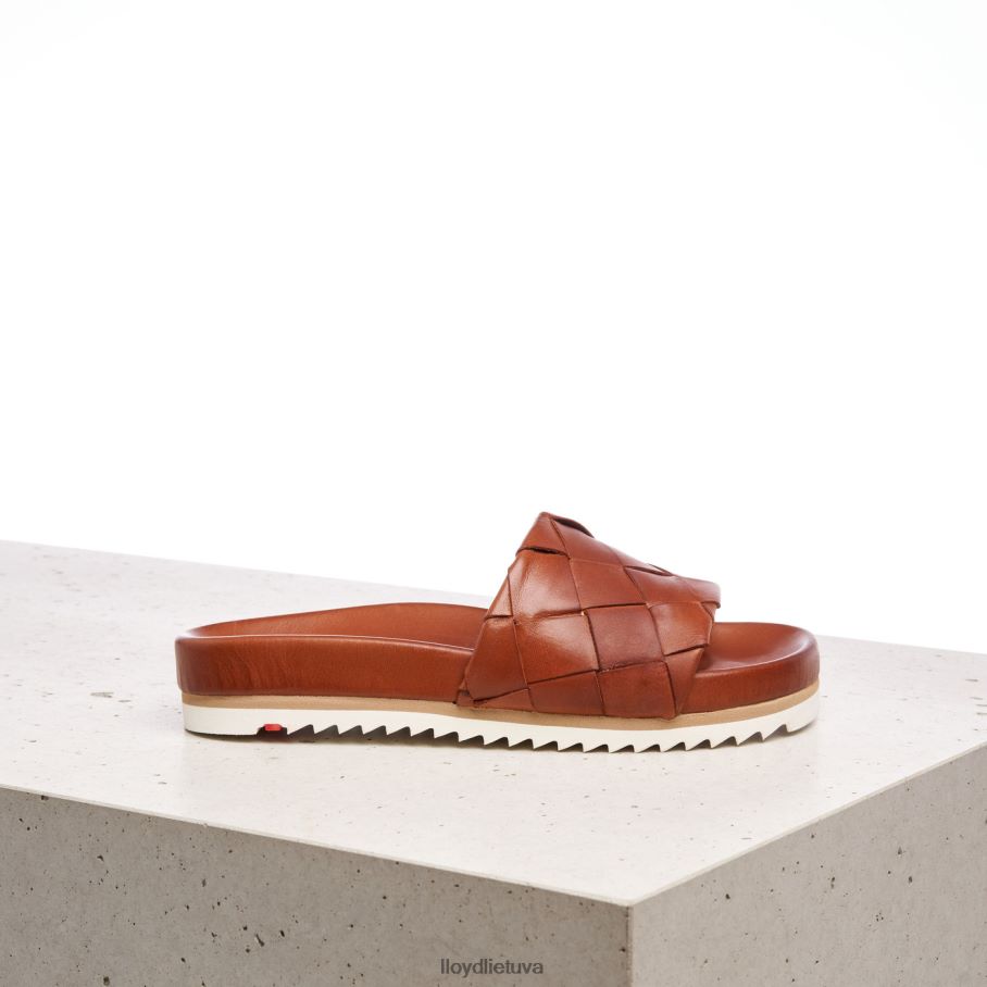 LLOYD pantoletė moterys avalynė rudas VF40PZ1227
