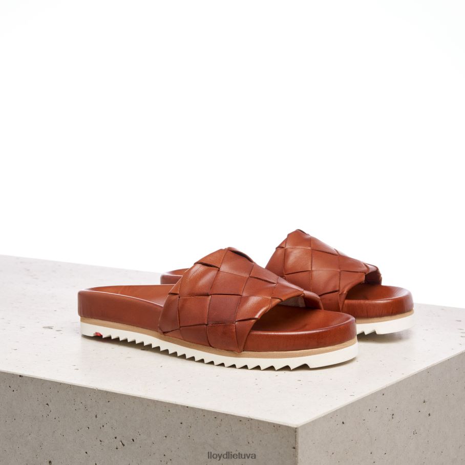 LLOYD pantoletė moterys avalynė rudas VF40PZ1227