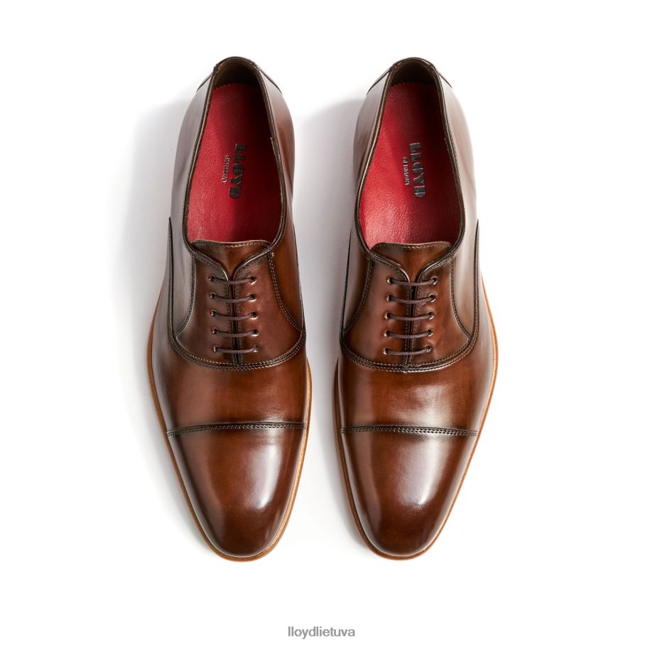 LLOYD parcas vyrų avalynė rudas VF40PZ156