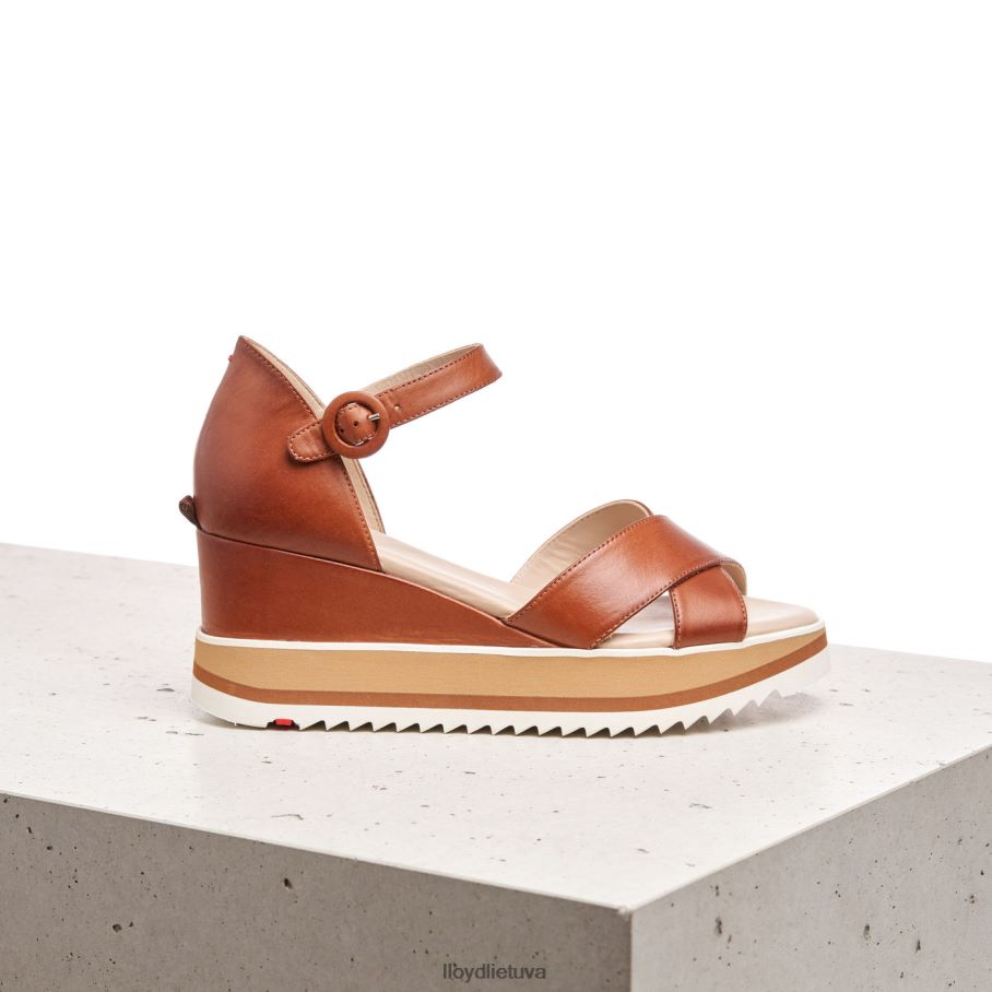 LLOYD pleištiniai sandalai moterys avalynė rudas VF40PZ1204