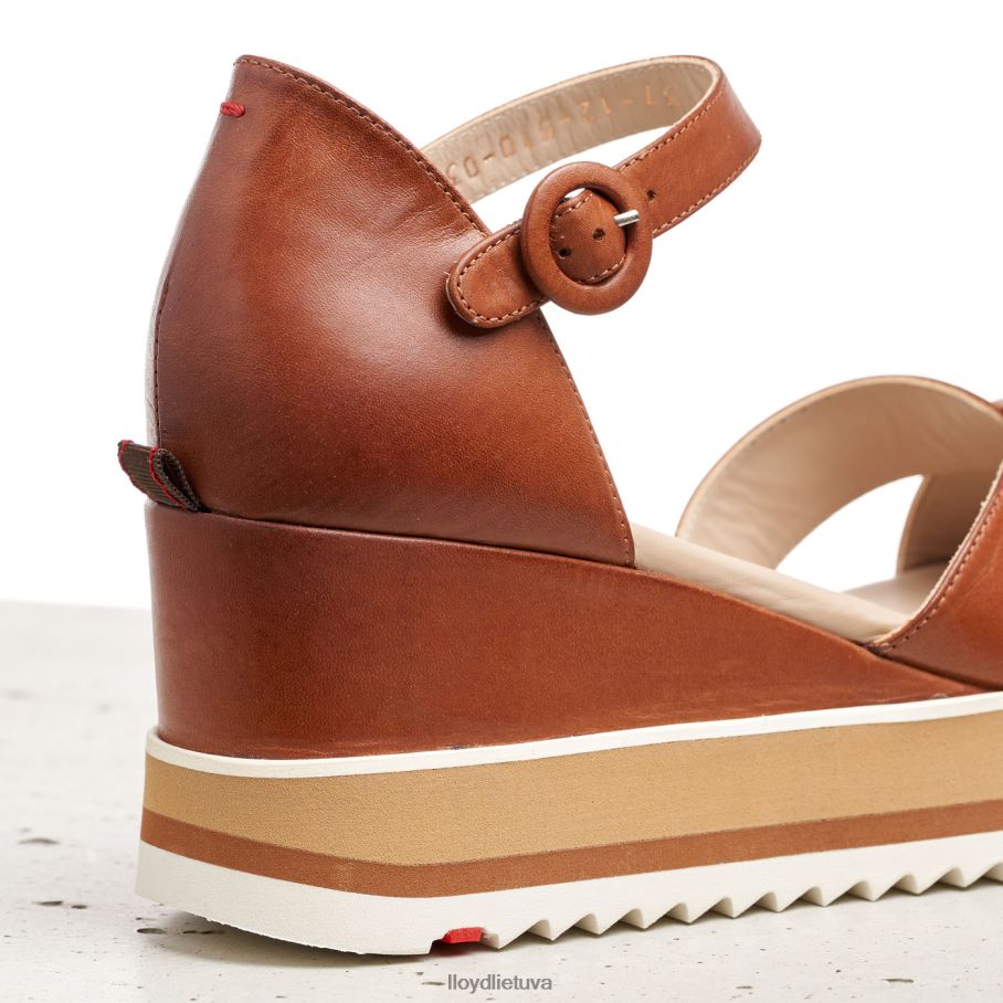 LLOYD pleištiniai sandalai moterys avalynė rudas VF40PZ1204